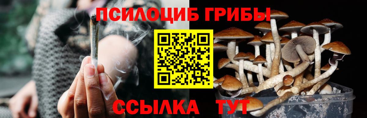 Псилоцибиновые грибы GOLDEN TEACHER Сальск